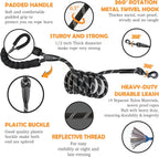 Dog Leash