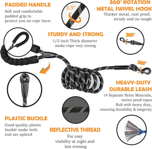 Dog Leash