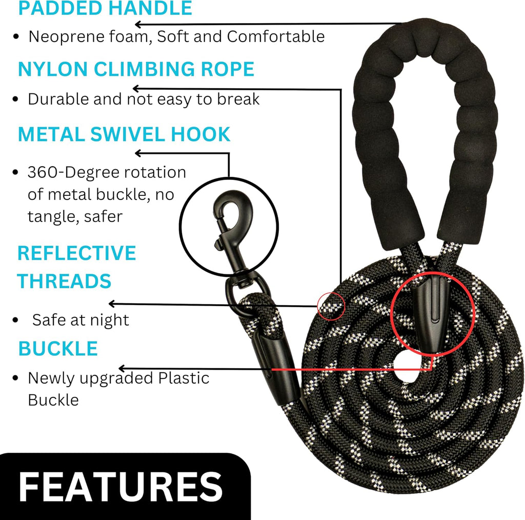 Dog Leash